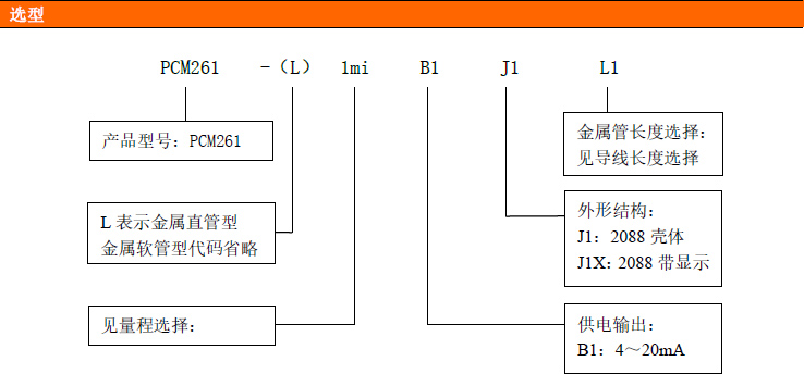 PCM261金屬鎧裝液位變送器 PCM261金屬鎧裝液位變送器